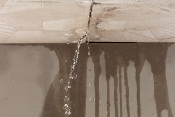Professional Structural Drying technician working in Dexter, OR